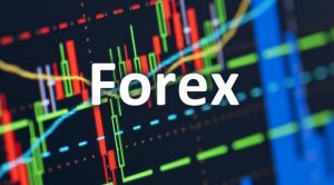 Forex and the global economic crisis in Nigeria